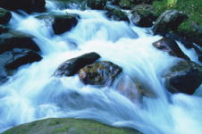 南薩の水